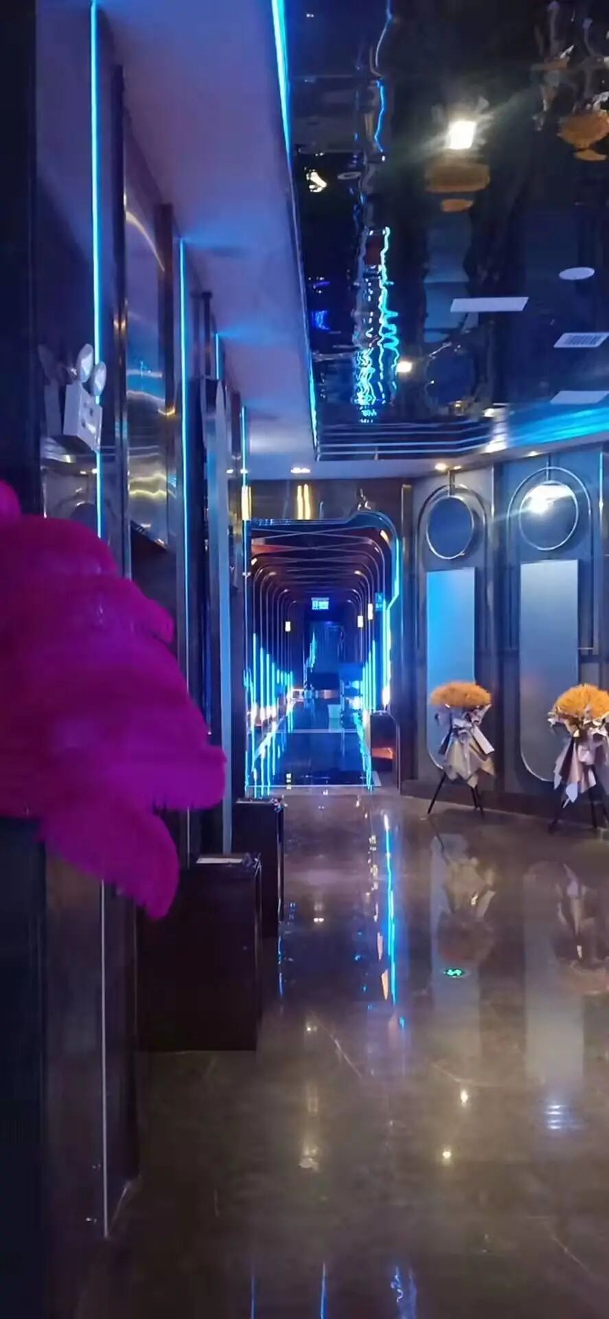 蜂巢易网 (3).jpg