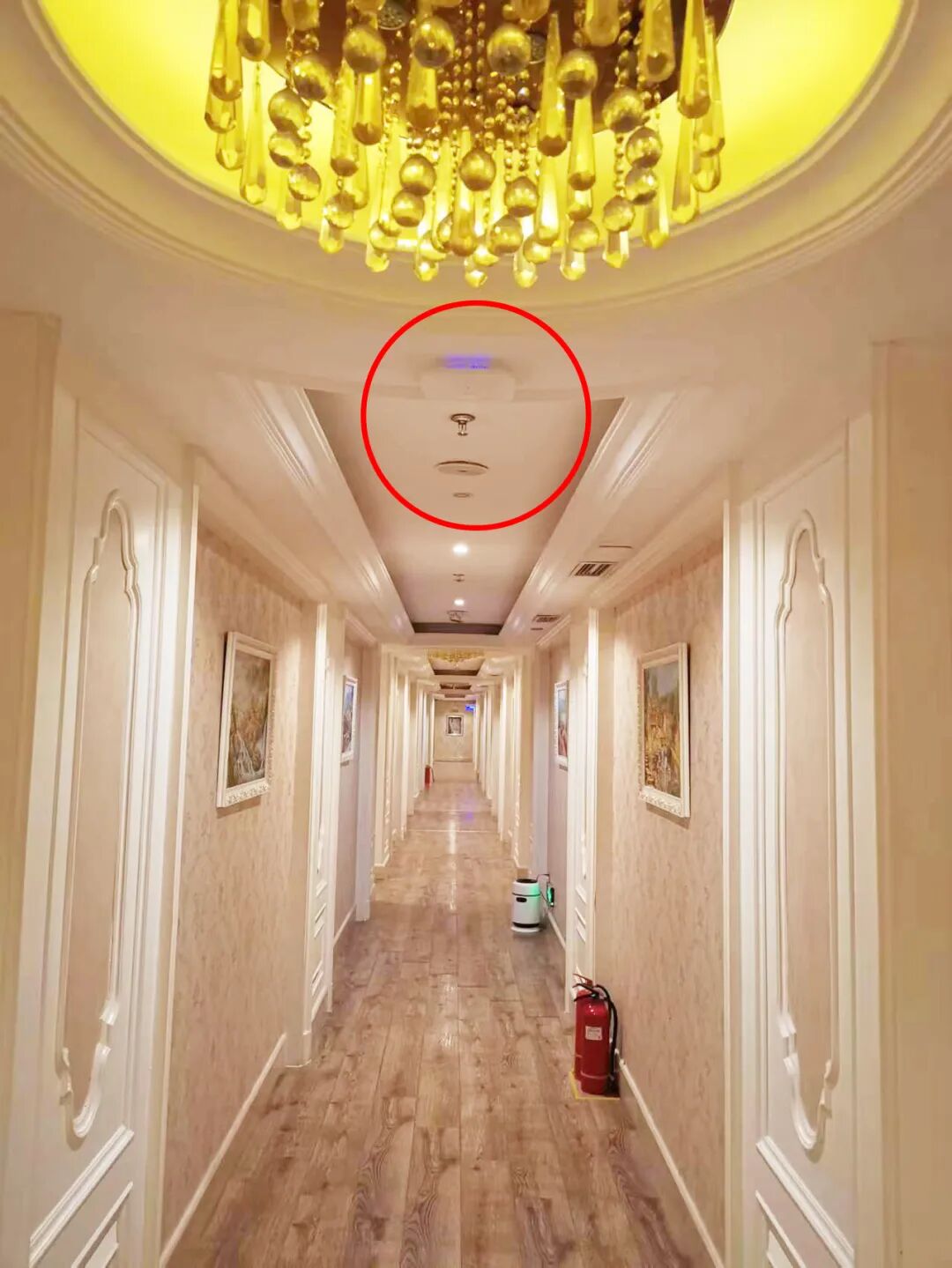 蜂巢易网大连天水瑶 (9).jpg