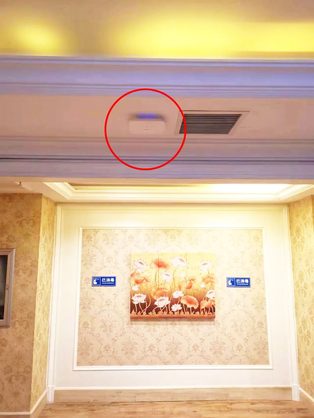 蜂巢易网大连天水瑶 (11).jpg