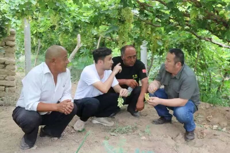 吐鲁番创业项目网_中国店网创业项目_28商机网创业项目