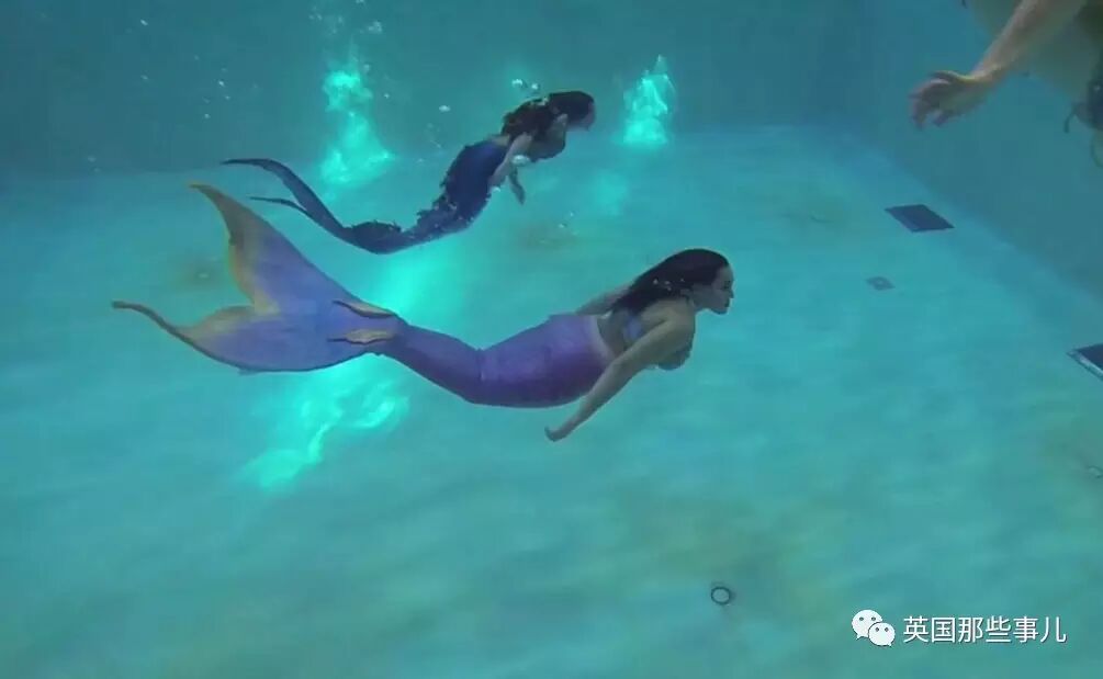 美国的人鱼社群,他们完全按照人鱼的方式生活.这画风.