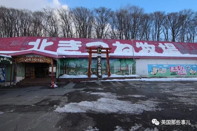 日推网友沉迷云吸狐 北狐牧场的吐舌小狐狸 出奇的可爱啊 英国那些事儿 微信公众号文章阅读 Wemp