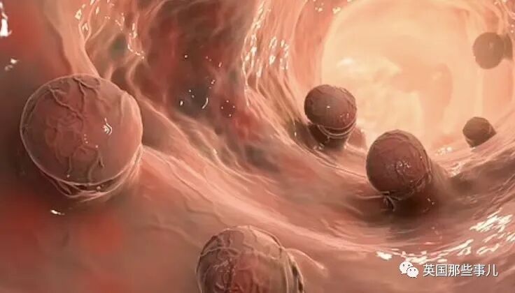 ����MSK����¡������ҩ�����������100����ֱ����ϸ��