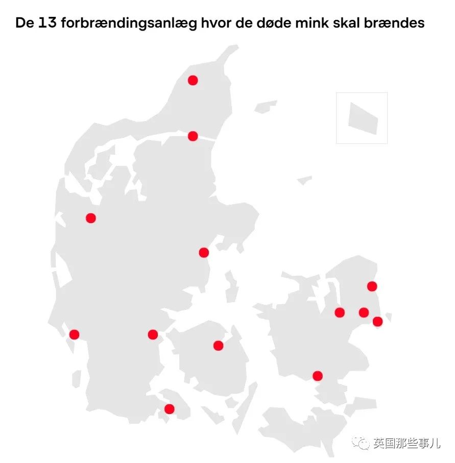 丹麦去年杀光全国水貂，如今又要把13000吨尸体挖出来？这…？！