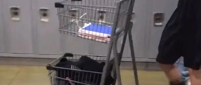 美国中学禁止背书包，担心包里藏枪？？学生把水桶滑板婴儿车都用上了！