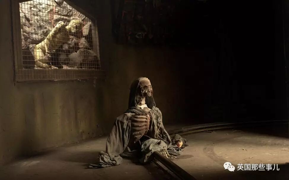 你一定不敢晚上来这里.