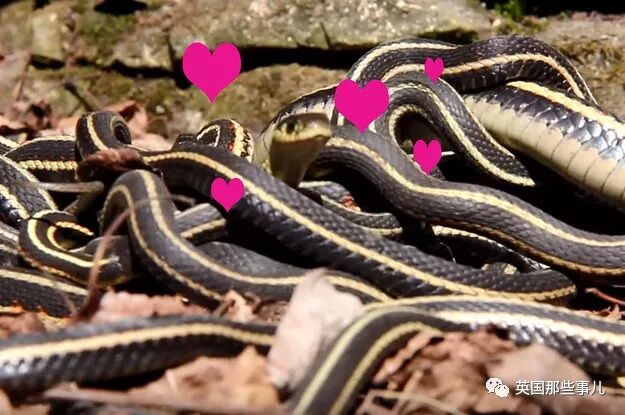 都贵玛:草原母亲,大爱无疆 | 功勋 _ 说说 - 多乐猫_duolemao.com