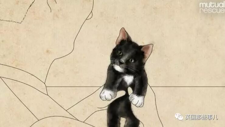 他在最深的绝望里遇见了最美的喵天使，他走出绝境...可天使却没能陪他走到最后 ... ...