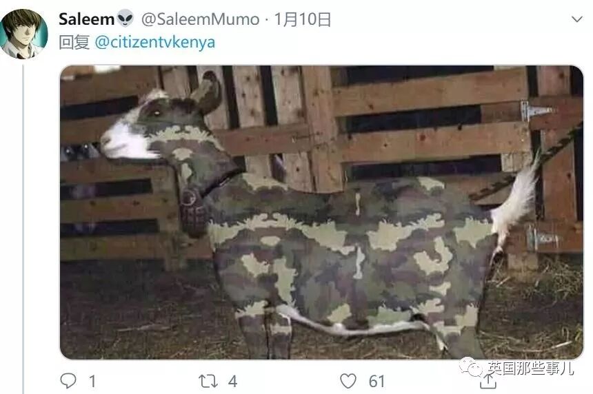 3600亿只蝗虫遮天蔽日的肆虐，却还有人在抖机灵（组图） - 44