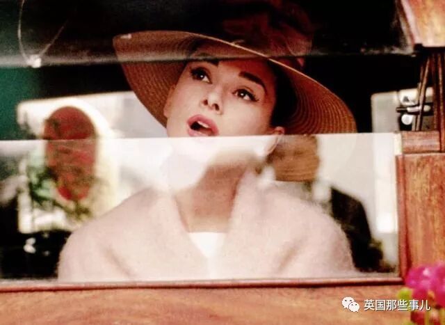 一个土豆照片_刘耀文的狗土豆照片_土豆照片