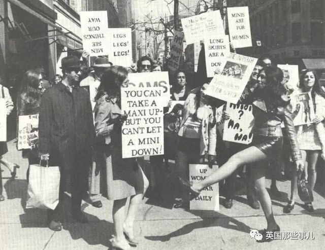 土豆照片_一个土豆照片_刘耀文的狗土豆照片