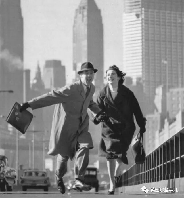 一个土豆照片_刘耀文的狗土豆照片_土豆照片