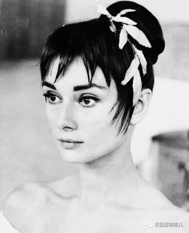 土豆照片_刘耀文的狗土豆照片_一个土豆照片