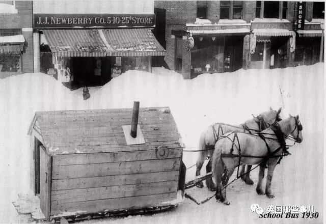 刘耀文的狗土豆照片_土豆照片_一个土豆照片