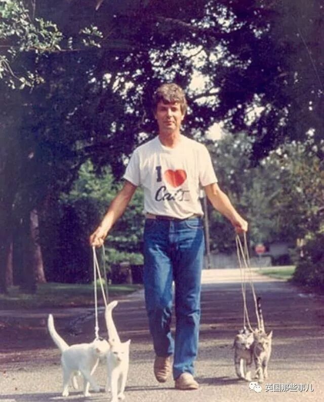 一个土豆照片_刘耀文的狗土豆照片_土豆照片