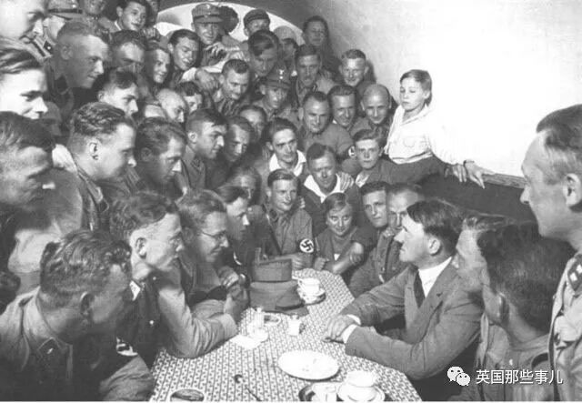 土豆照片_刘耀文的狗土豆照片_一个土豆照片