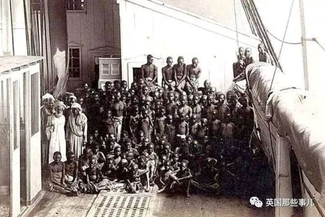 一个土豆照片_刘耀文的狗土豆照片_土豆照片