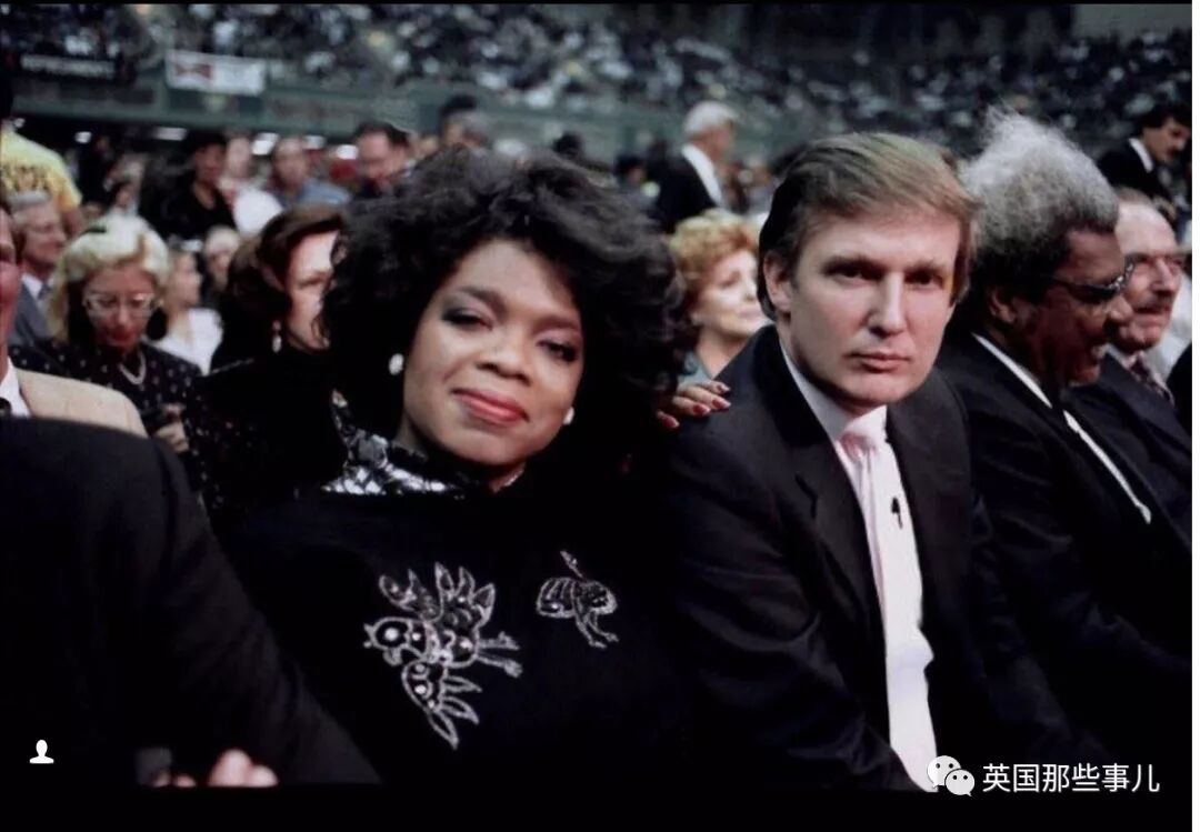 土豆照片_一个土豆照片_刘耀文的狗土豆照片