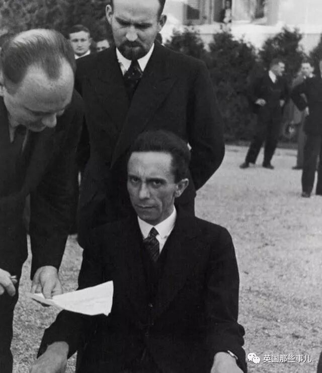 刘耀文的狗土豆照片_土豆照片_一个土豆照片