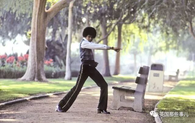 土豆照片_一个土豆照片_刘耀文的狗土豆照片