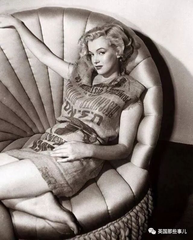 土豆照片_刘耀文的狗土豆照片_一个土豆照片