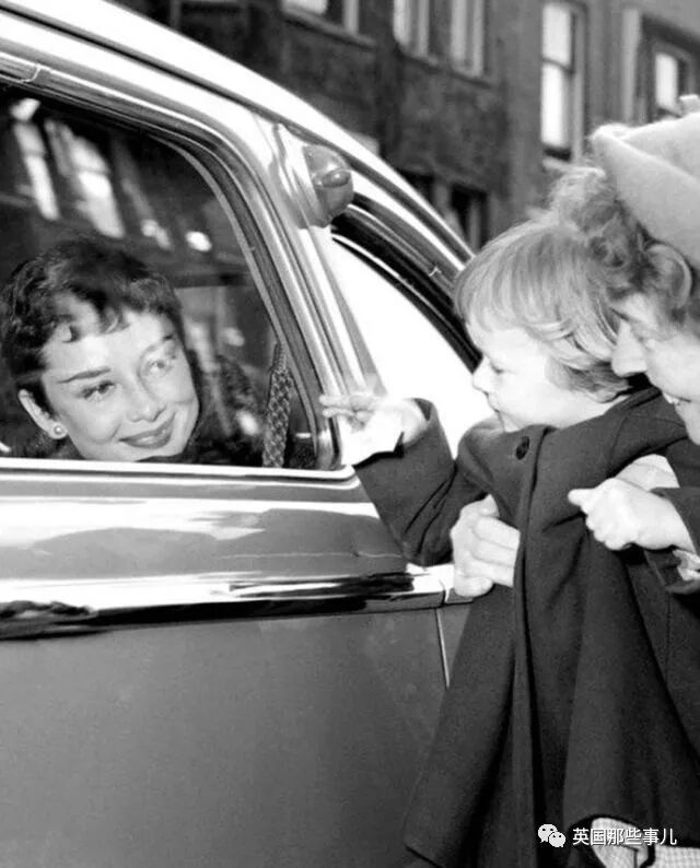 土豆照片_一个土豆照片_刘耀文的狗土豆照片