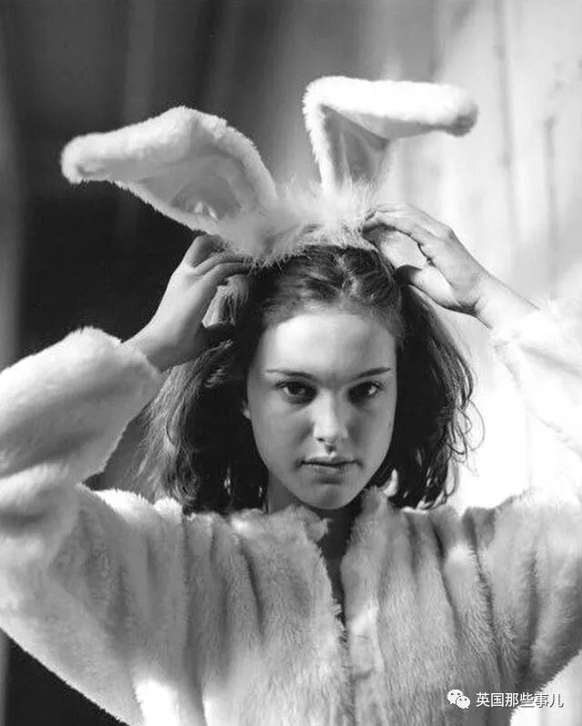 刘耀文的狗土豆照片_一个土豆照片_土豆照片