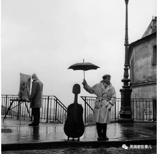 刘耀文的狗土豆照片_一个土豆照片_土豆照片