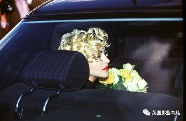 一个土豆照片_刘耀文的狗土豆照片_土豆照片