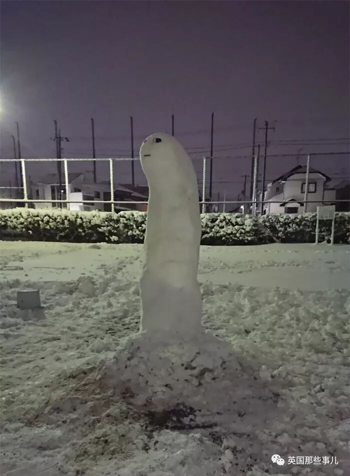一场东京暴雪，一夜之间霓虹人民堆雪人的脑洞再也关不住了！（组图） - 25