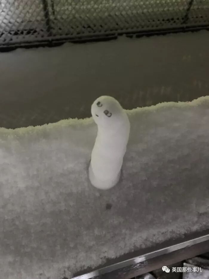 一场东京暴雪，一夜之间霓虹人民堆雪人的脑洞再也关不住了！（组图） - 26