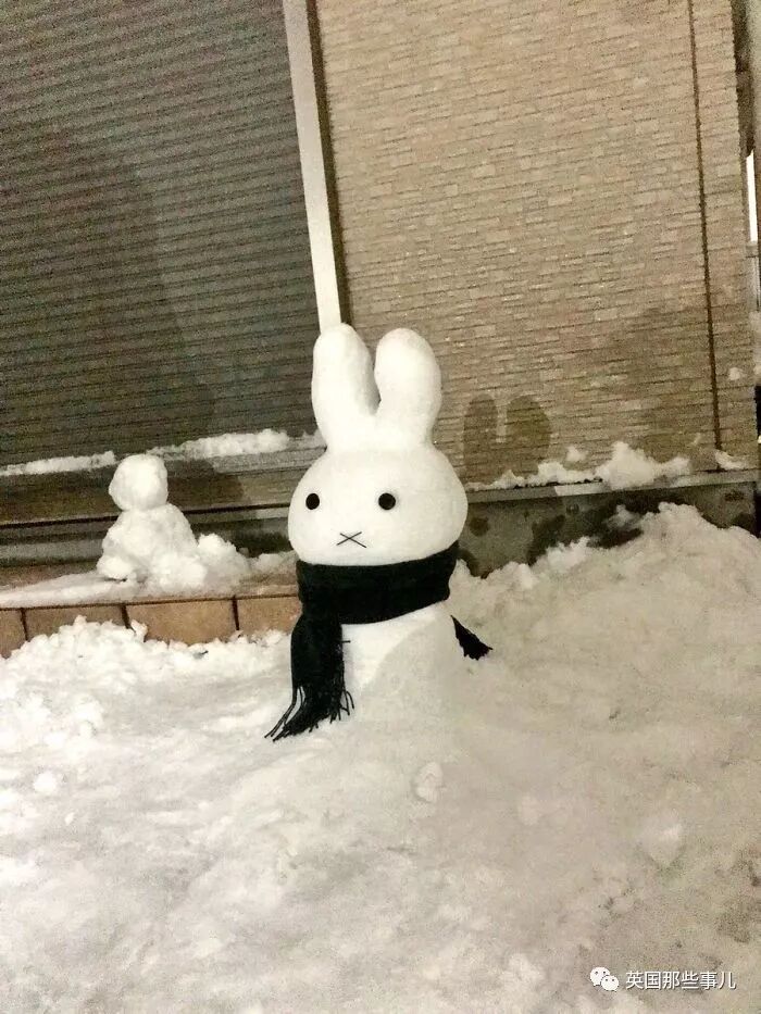 一场东京暴雪，一夜之间霓虹人民堆雪人的脑洞再也关不住了！（组图） - 8