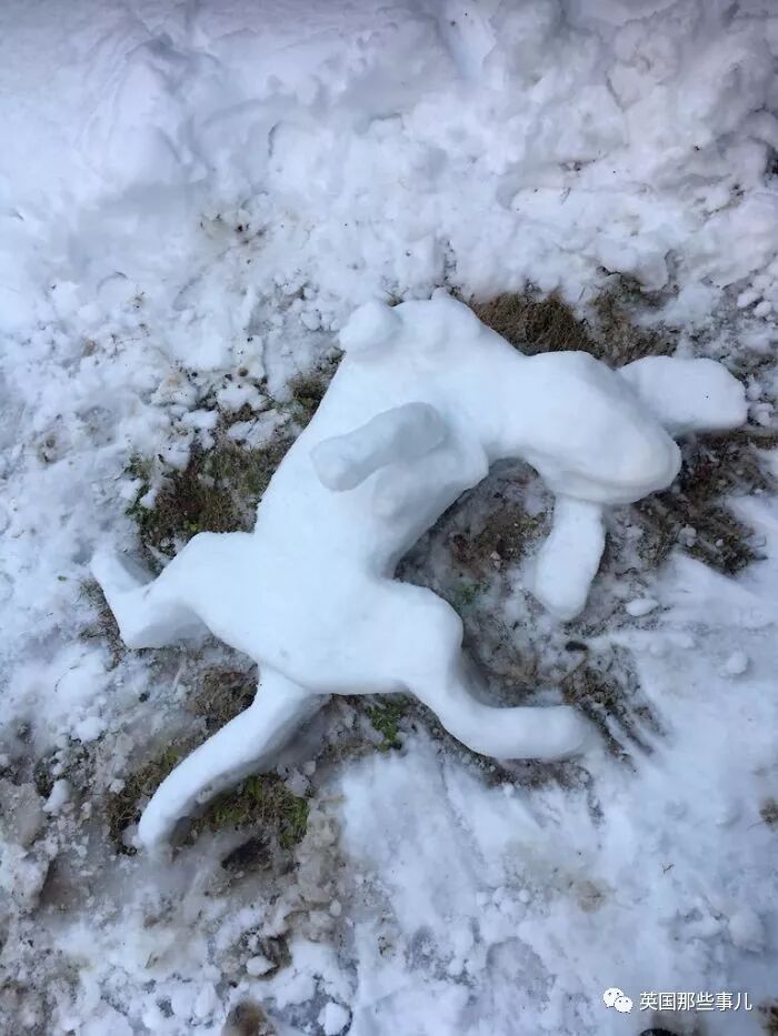 一场东京暴雪，一夜之间霓虹人民堆雪人的脑洞再也关不住了！（组图） - 19