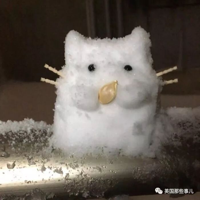 一场东京暴雪，一夜之间霓虹人民堆雪人的脑洞再也关不住了！（组图） - 16