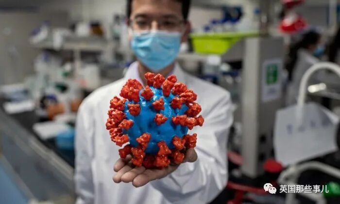 120万确诊，死者直接垃圾袋套好堆床上...巴西怎么失控成了这样？（组图） - 24