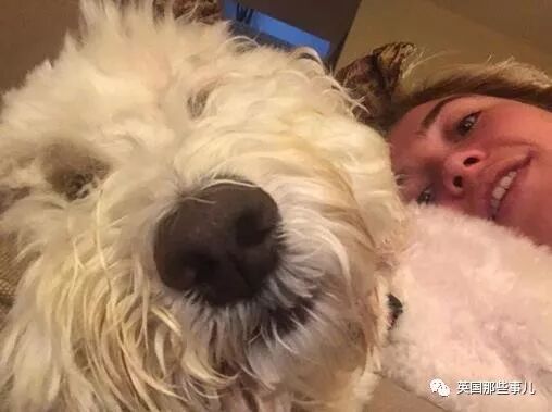 女主是寡妇男主是屠夫_文章在黑狐扮演_黑寡妇是谁扮演的