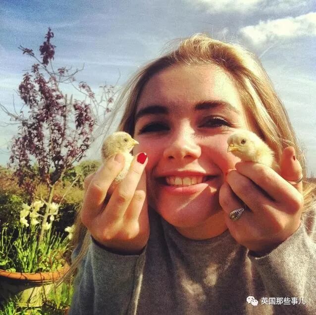 女主是寡妇男主是屠夫_黑寡妇是谁扮演的_文章在黑狐扮演