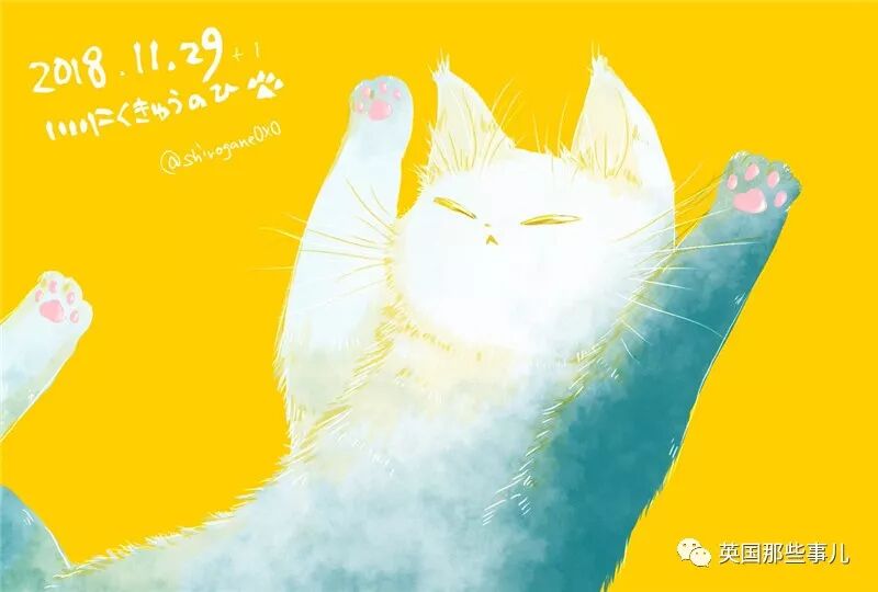 猫的肉球有治愈人类的神奇魔力 这满屏粉嫩的画风 简直让人欲罢不能 英国那些事儿微信公众号文章