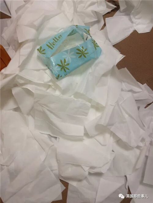 所謂育兒，視線一離開，可能馬上發生讓爹媽腦殼痛的慘案…… 親子 第13張