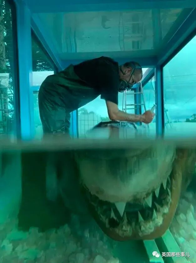探险者在废墟中发现一只被福尔马林浸泡的大白鲨…它从生到死,经历