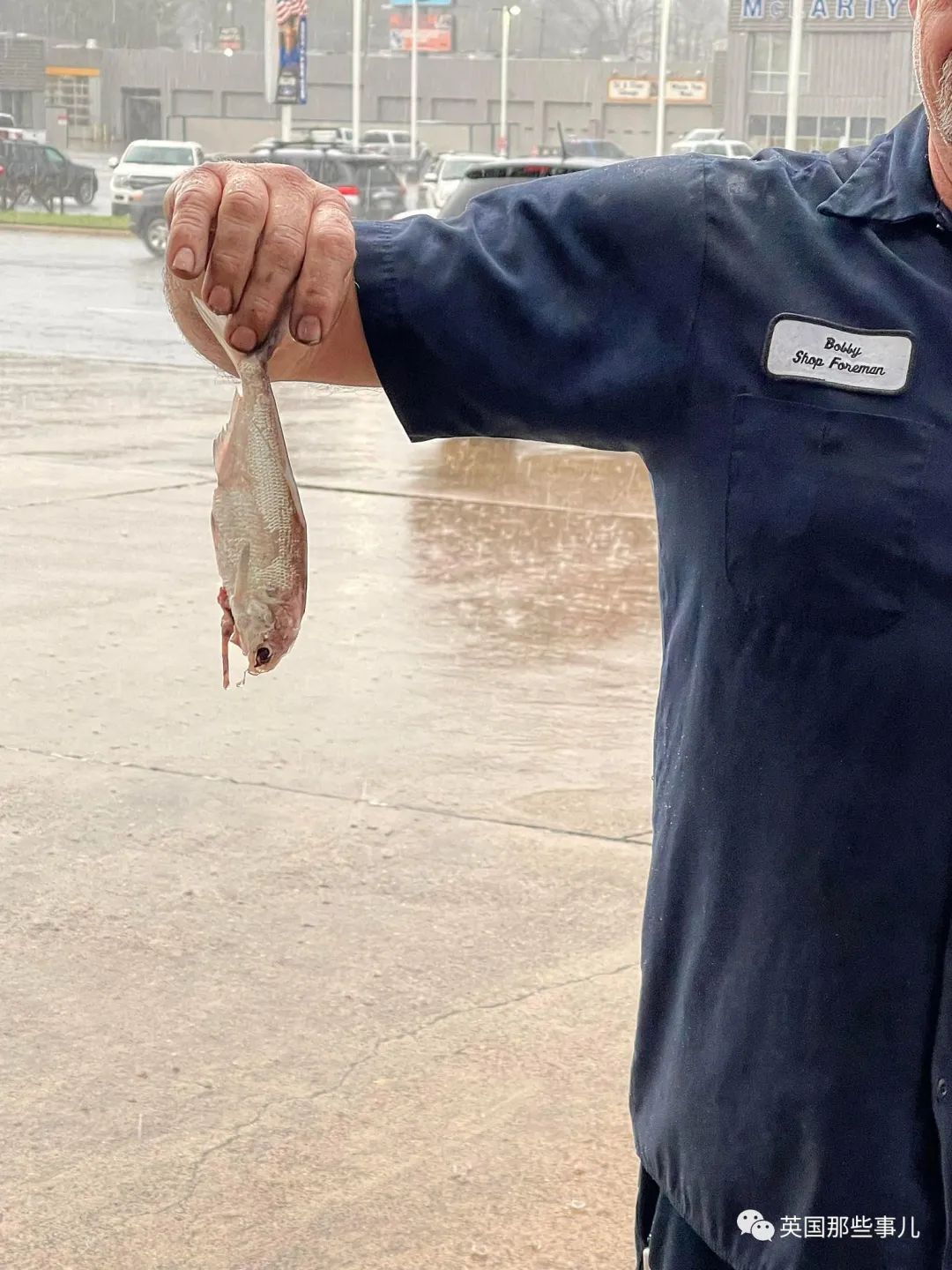 美国城市下起“鱼雨”，居民开心捡鱼！天降动物雨，还有这些可能?!
