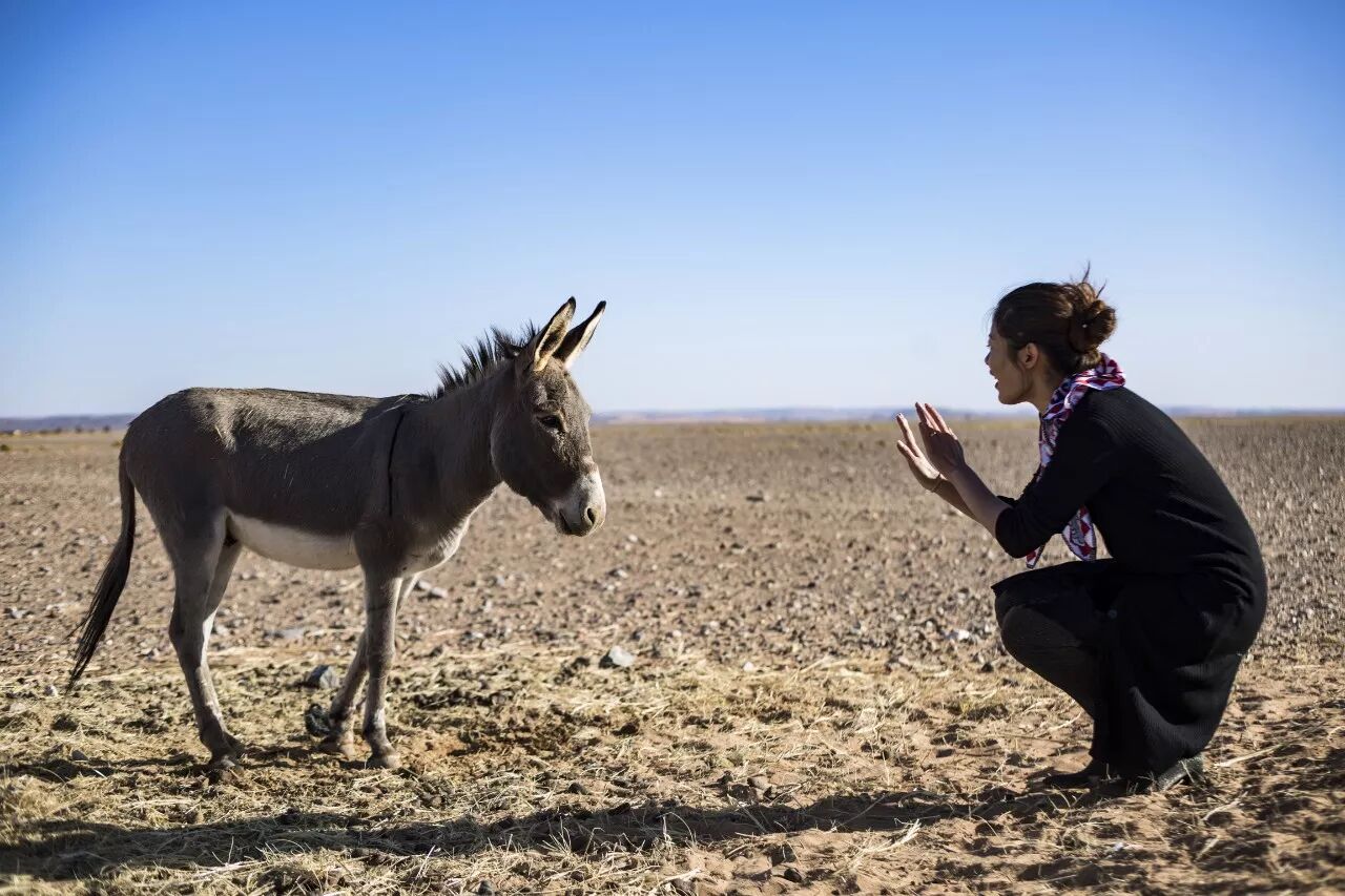 原来你是这样的摩洛哥