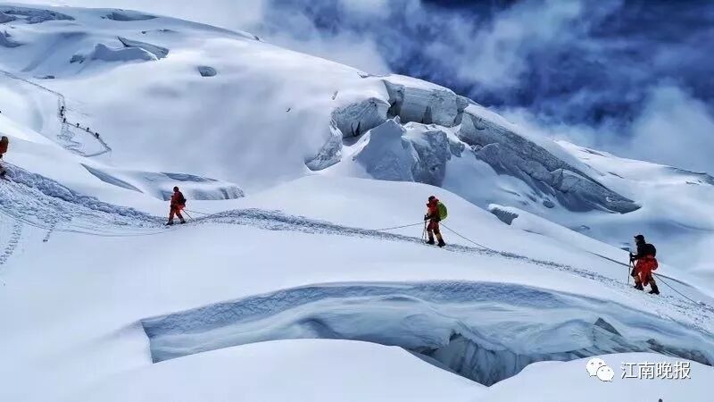 无锡“蓝玫瑰”绽放雪峰之顶 她的“蓝朋友”也很棒