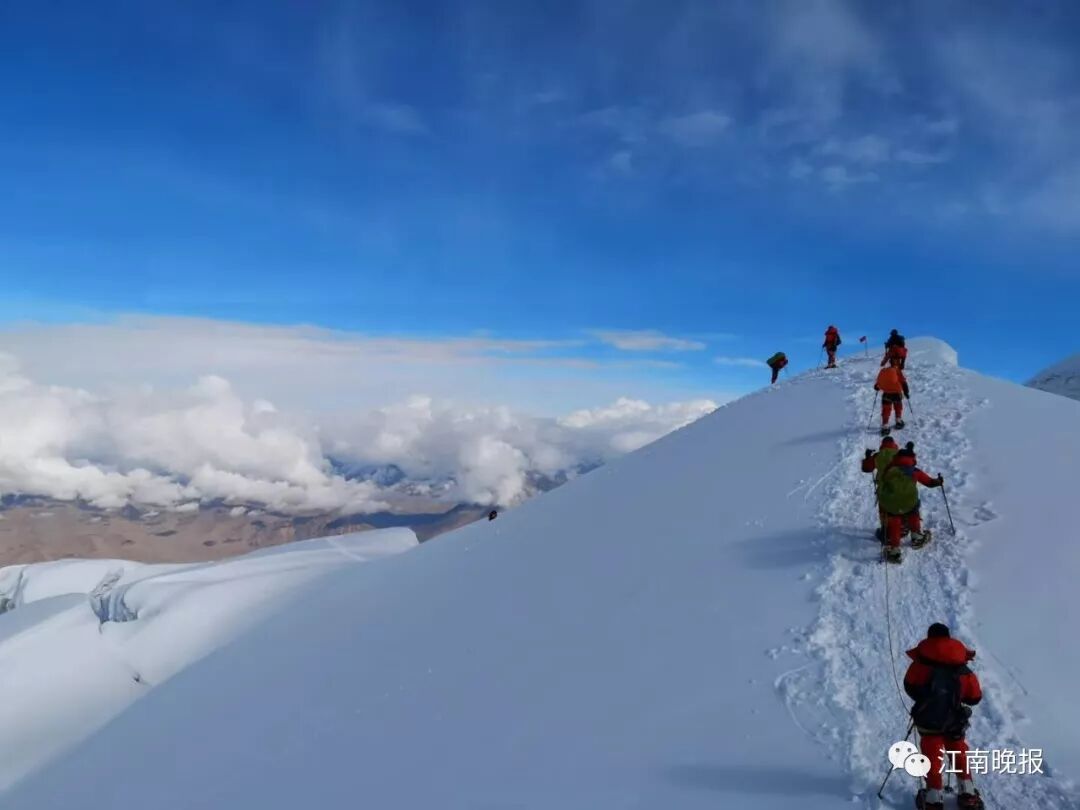 无锡“蓝玫瑰”绽放雪峰之顶 她的“蓝朋友”也很棒