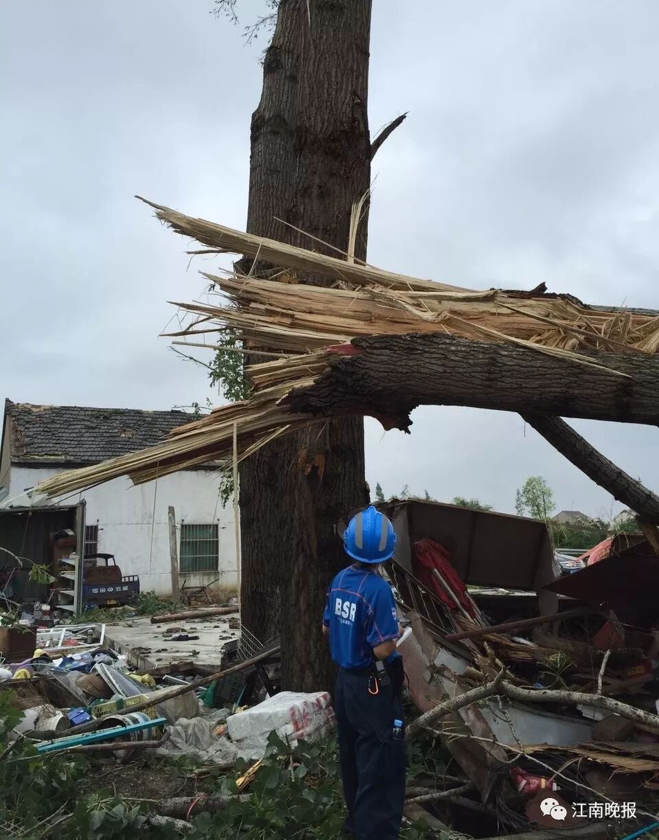 无锡“蓝玫瑰”绽放雪峰之顶 她的“蓝朋友”也很棒