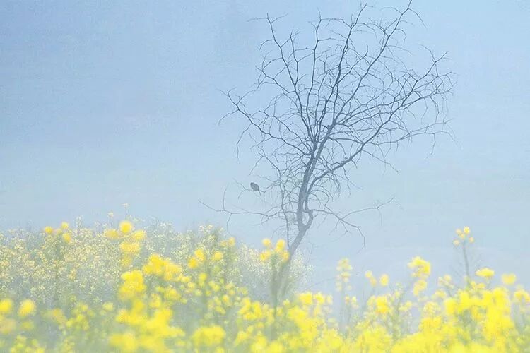 中了5条以上，说明你身体很健康！