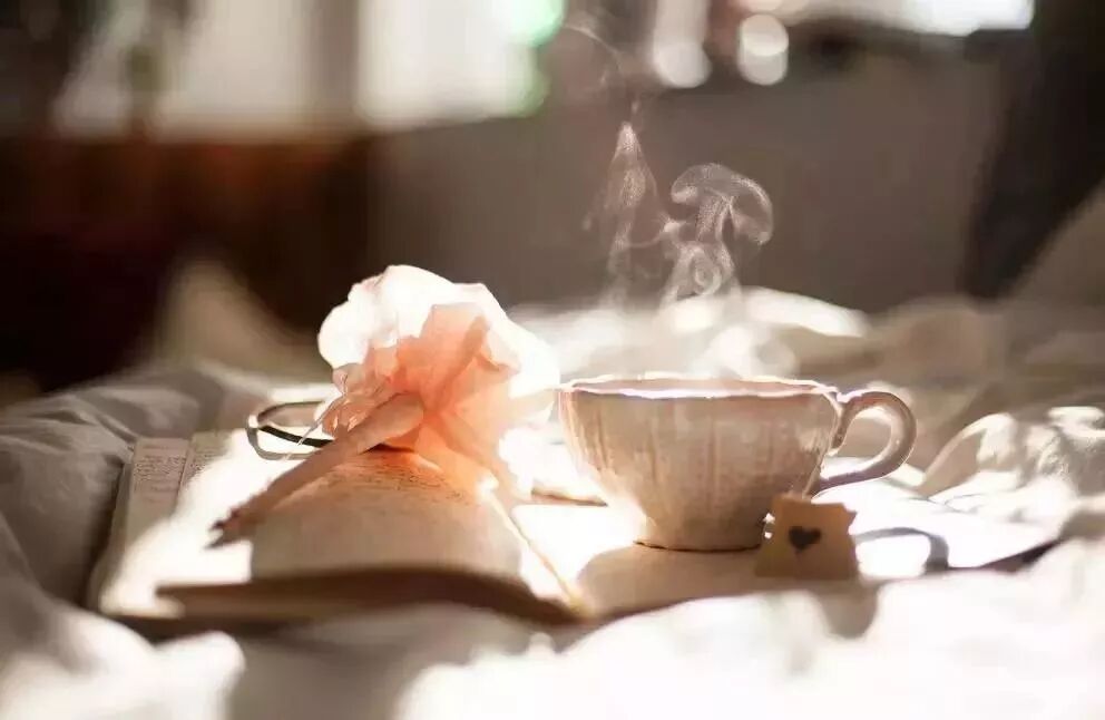 【早读】2018大总结！(句句精辟)