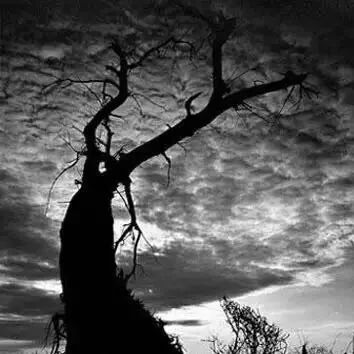 那个救我的人，成了我最恨的人！（深度好文）