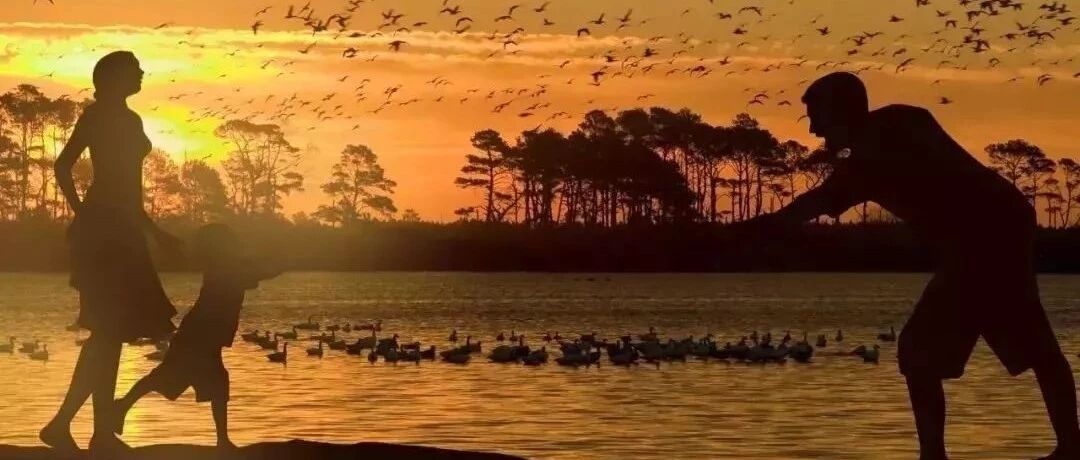 中国式父母的悲哀：付出全部，却养不出感恩的孩子