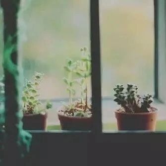 12条极简生活方式，中一条都很了不起（精辟！）